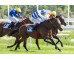  Carrera: P.Eduardo Olgado Caballo: Magic Warrior Monta: J.Gelabert